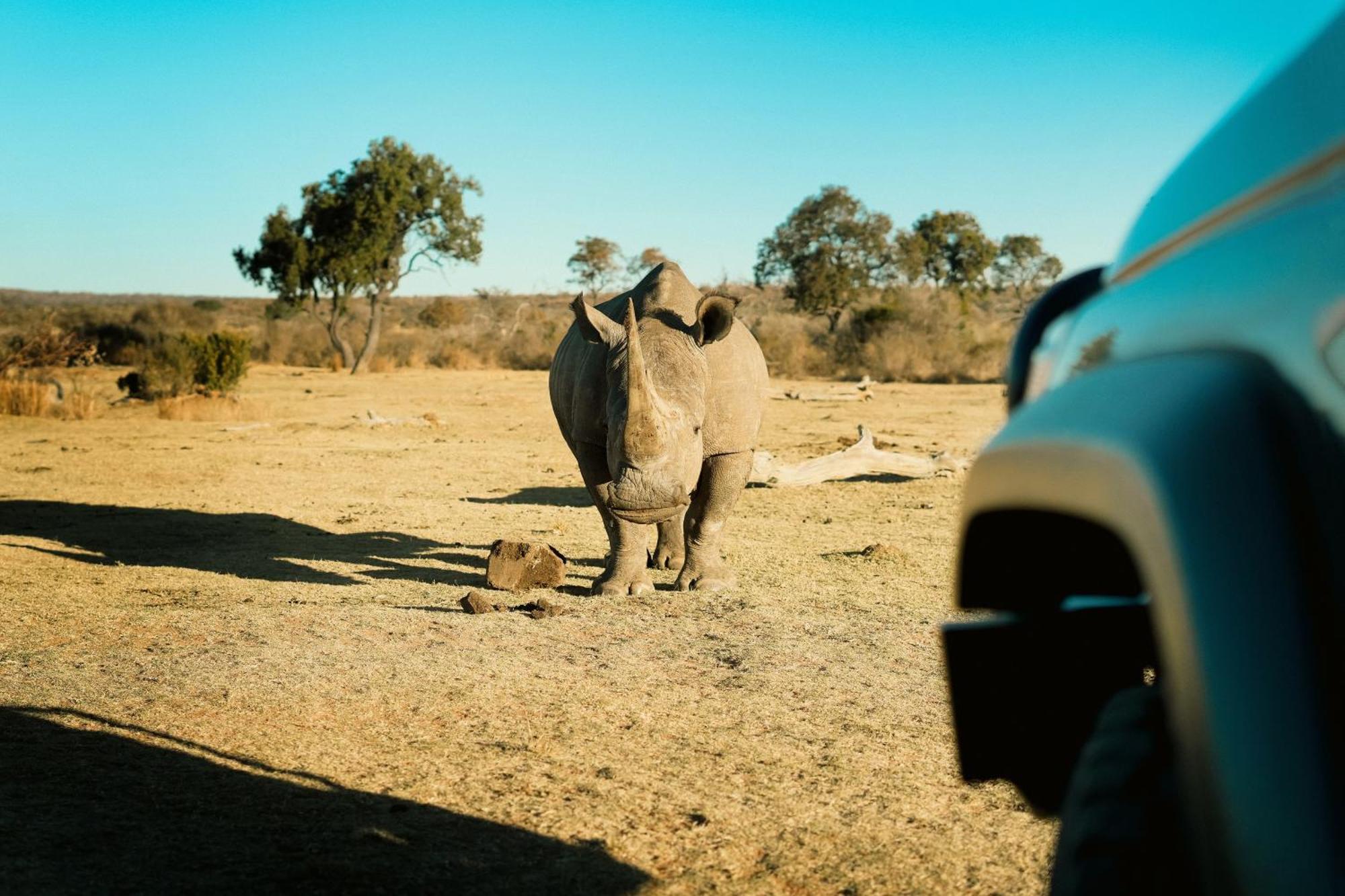 Shibula Safari Lodge Welgevonden Game Reserve Exteriér fotografie